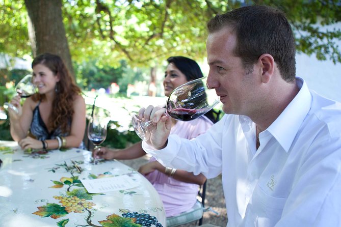 Private Full Day Stellenbosch Wine Tour with Pick Up and Drop Off - Waterford Estate: ending with chocolate and wine