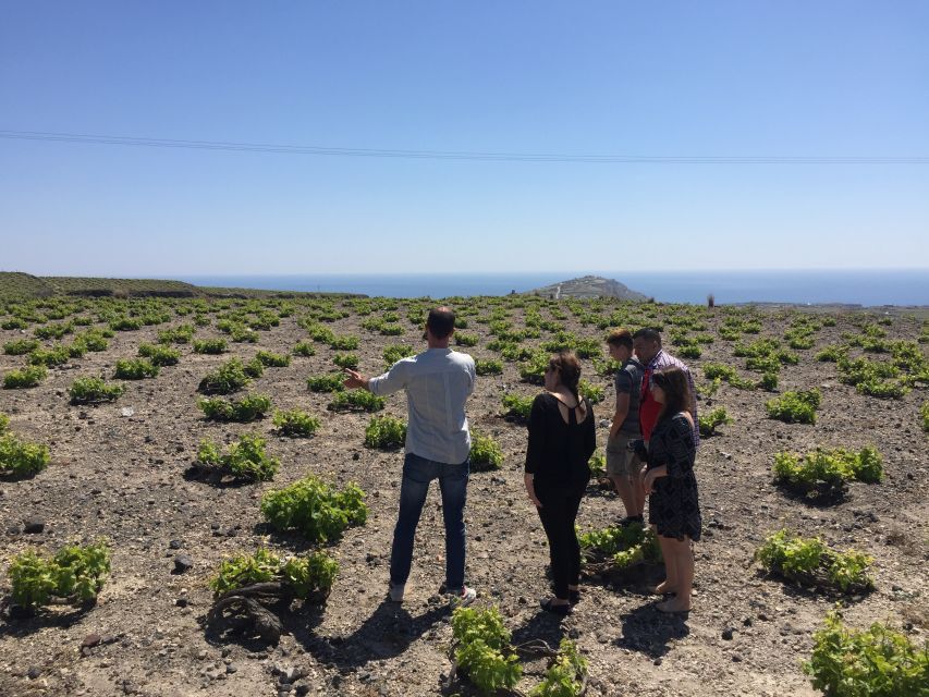 Private Group Visit to Akrotiri & 3 Wineries with Tastings - Local guides make the private format worthwhile
