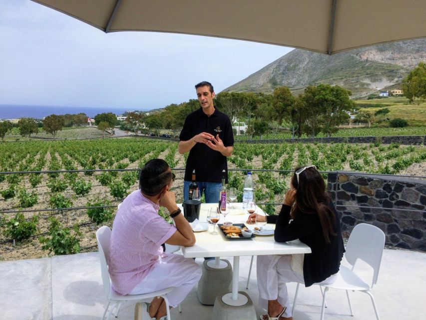 Private Group Visit to Akrotiri & 3 Wineries with Tastings - Who will enjoy this tour most?
