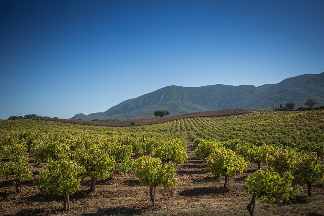 Private Lisbon Arrabida Wine Tour: Food & Wines, Mountain and Sea - Why this day trip works so well from Lisbon