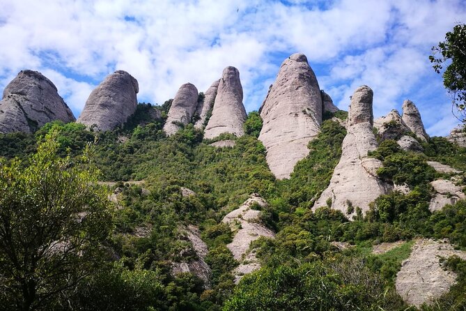 Private Montserrat with Lunch and Wine Tasting from Barcelona - Choosing between Santa Cova, Sant Miquel, and the museum