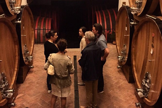 Private Tour: Montalcino Wine Tasting Experience - Why a private Montalcino wine day works so well