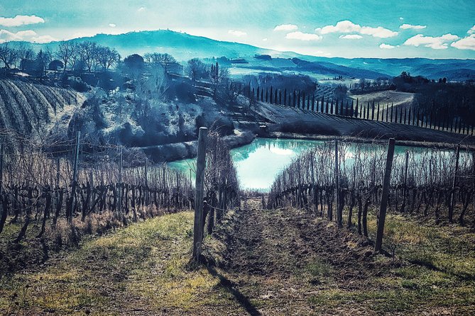 Private Tour: Montalcino Wine Tasting Experience - What the eight-hour schedule feels like