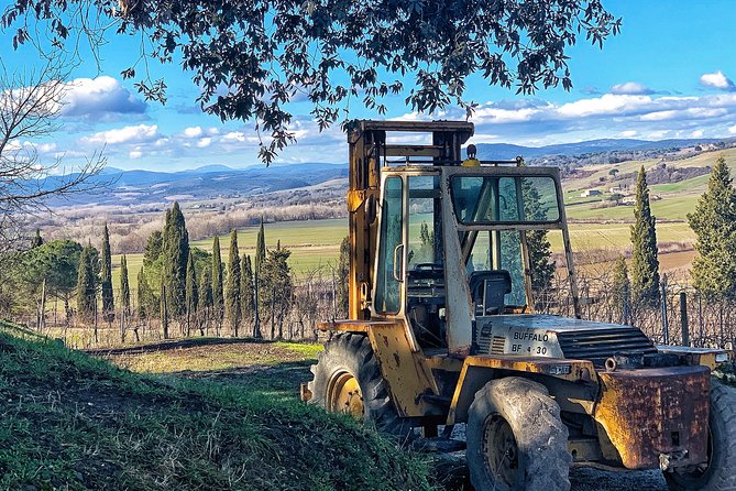 Private Tour: Montalcino Wine Tasting Experience - Who should book this experience