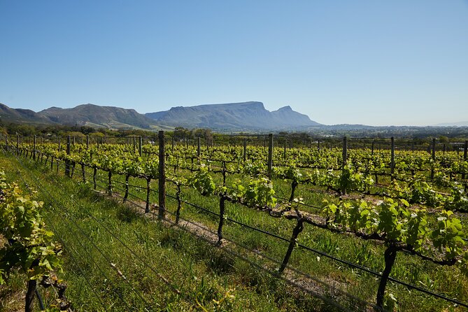 Private Tour of Top 5 Stellenbosch Wineries From Cape Town - Delaire Graff on Helshoogte Pass