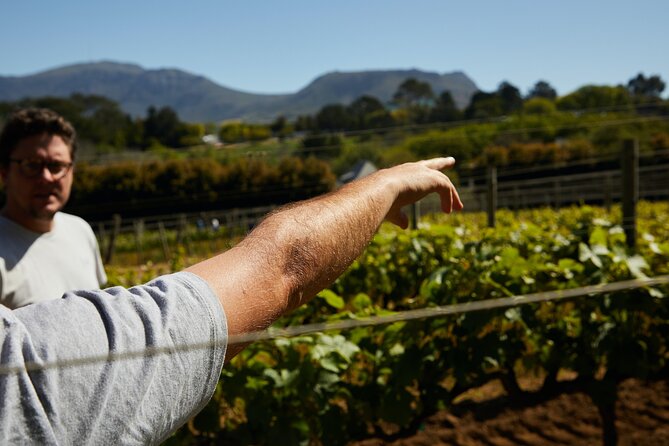 Private Tour of Top 5 Stellenbosch Wineries From Cape Town - What the private vehicle adds