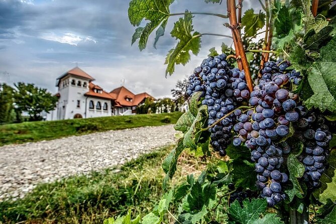 Private Tour to Salt Mine, Lunch at Winery and Dracula Grave - Snagov Monastery and the Dracula connection