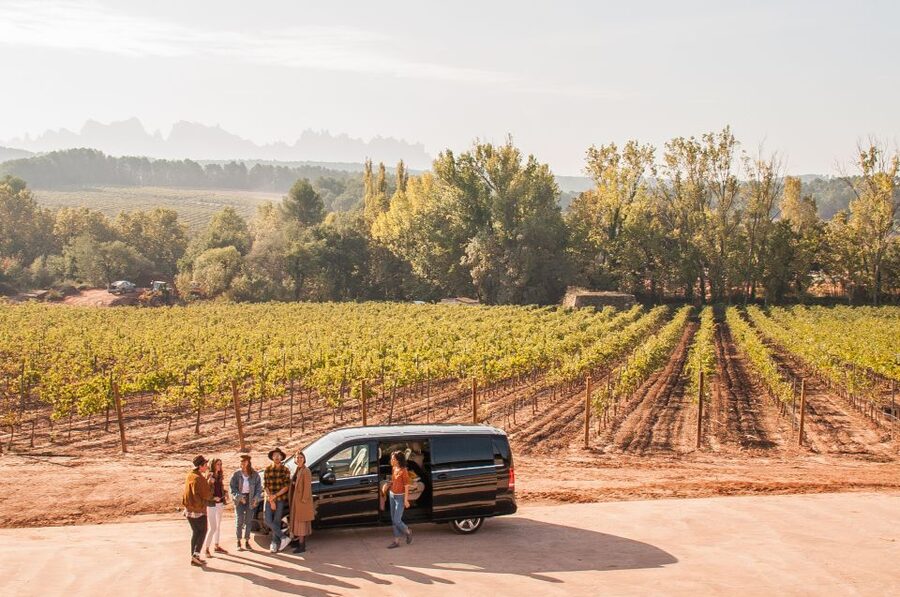 Private Wine, Tapas & Cava Experience from Barcelona - Key points to know before booking