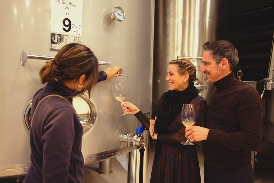 Private Wine, Tapas & Cava Experience from Barcelona - Why this wine day is different from a standard Barcelona outing