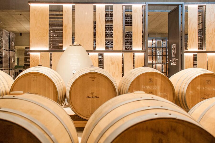 Private Wine, Tapas & Cava Experience from Barcelona - What the tasting and food program is really worth
