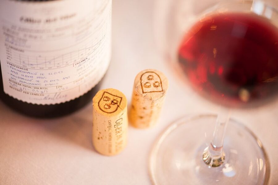 Private Wine, Tapas & Cava Experience from Barcelona - Who will enjoy this experience most