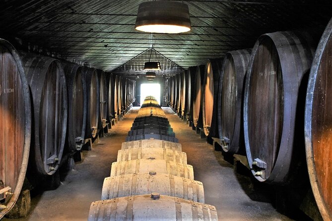 Private Wine Tasting in the Setúbal Wine Region, from Lisbon - From Lisbon to the Setúbal wine country