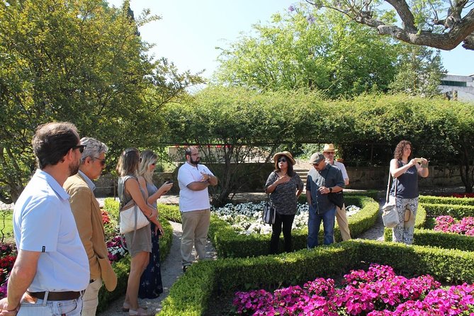 Private Wine Tasting in the Setúbal Wine Region, from Lisbon - The wine count, food, and what is included