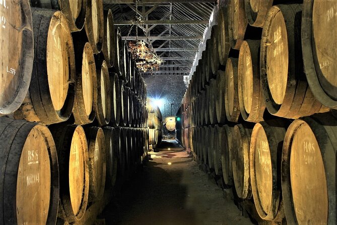 Private Wine Tasting in the Setúbal Wine Region, from Lisbon - Quinta do Alcube and the farming side of wine