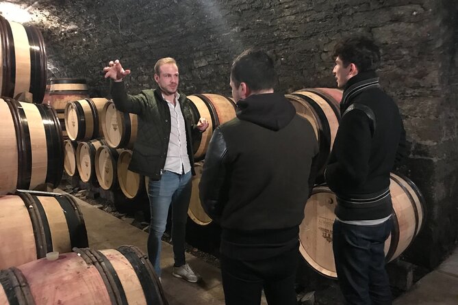 Private Wine Tasting Tour - Burgundy Uncorked!! - Santenay: six wines with an independent grower