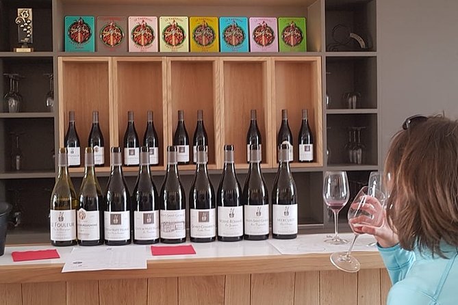 Private wine tasting workshop by Dufouleur - Bourgogne - The opening lesson: vines, plots, and Burgundy’s Climats