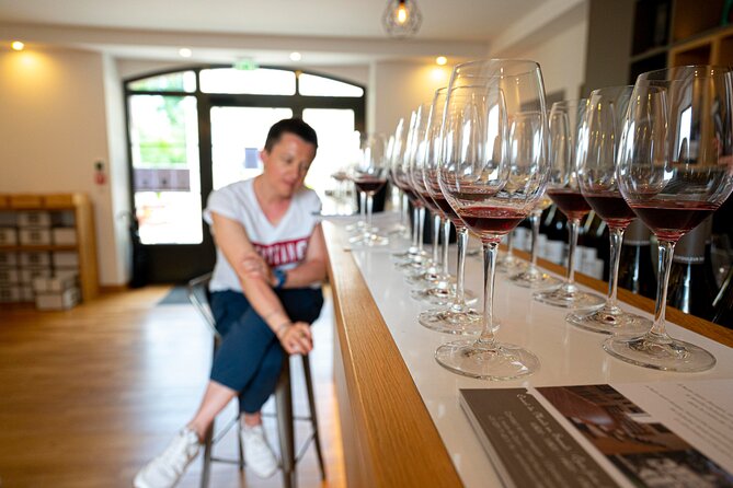 Private wine tasting workshop by Dufouleur - Bourgogne - Seeing the winemaking process before the glasses
