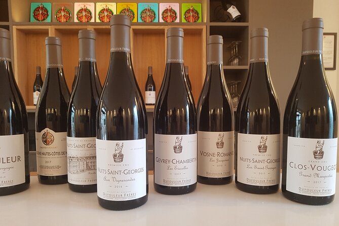 Private wine tasting workshop by Dufouleur - Bourgogne - Price, timing, and who gets the best value