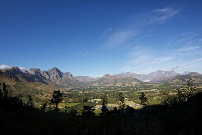Private Wine Tour with Wine Expert to Stellenbosch-Franschhoek Wine Regions - Stark-Condé Wines: one more possible tasting