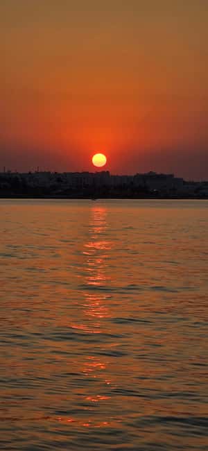 Protaras Blue Lagoon Sunset Tour with Pizza & Champagne - The turtle question