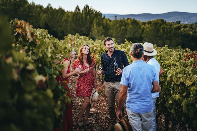 Provence Wine Tour - Small Group Tour from Cannes - Three Provence estates instead of one quick tasting
