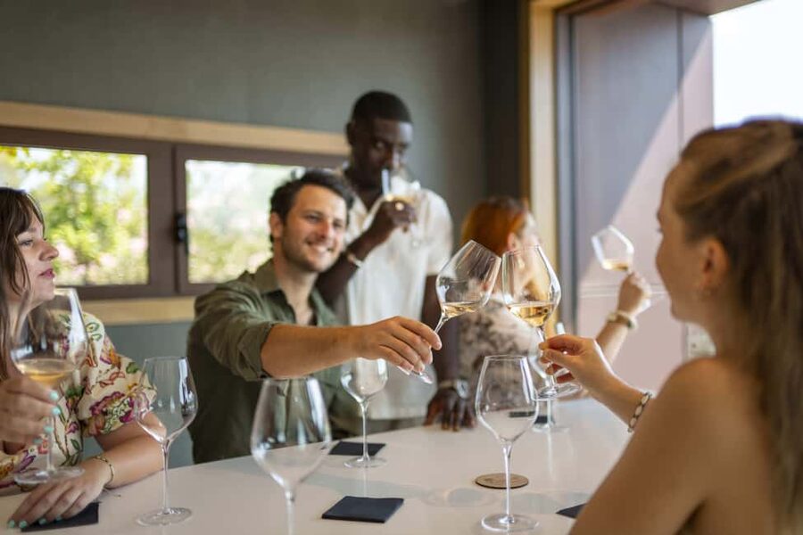 Provence Wine Tour - Small Group Tour from Cannes - Booking details worth getting right