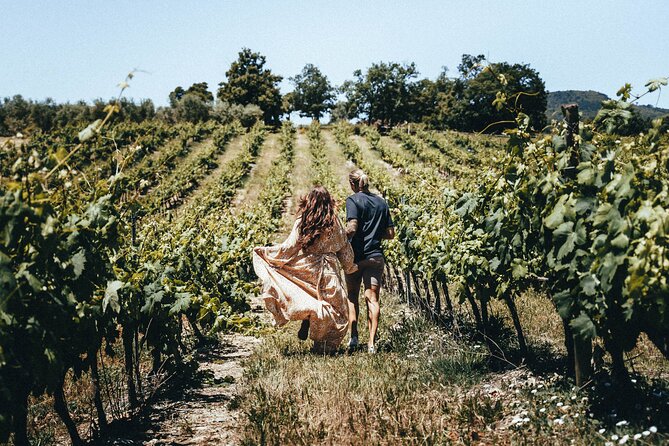 Provence Wine Tour - Small Group Tour from Cannes - Lunch on a medieval village square