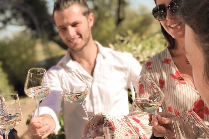 Provence Wine Tour - Small Group Tour from Cannes - The final estate is the visual highlight