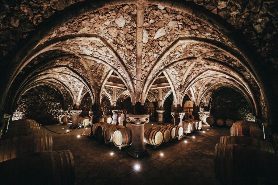 Provence Wine Tour - Small Group Tour from Cannes - The pace, group size, and practical limits