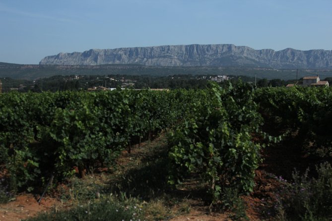 Provence Wineries and Luberon Villages Day Trip from Aix-en-Provence - The short Aix pause and the question of lunch