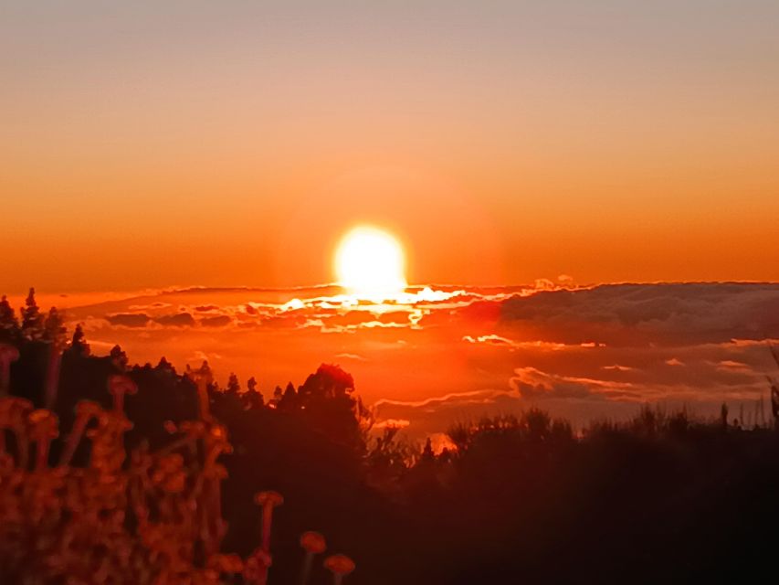 Puerto Cruz: VIP Teide Sunset & Stars, Guachiche Lunch+Cava - Coffee and Canarian Specialities at El Portillo