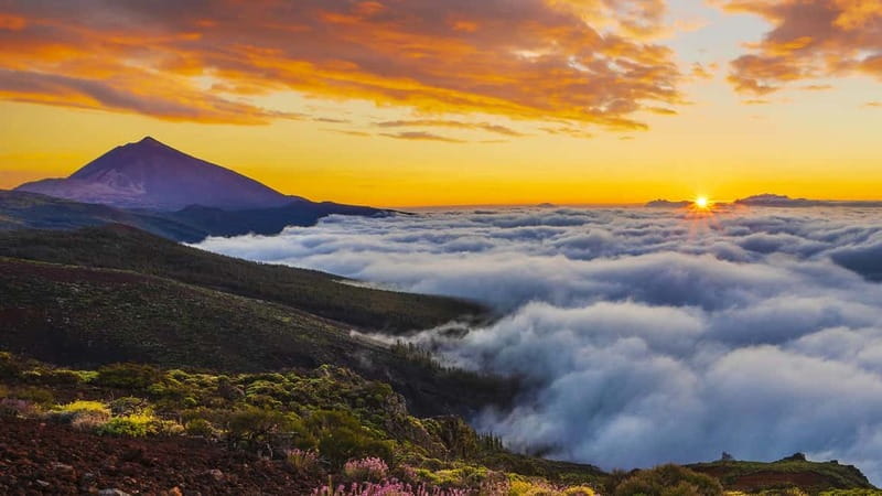 Puerto Cruz: VIP Teide Sunset & Stars, Guachiche Lunch+Cava - Why the Small Group Matters
