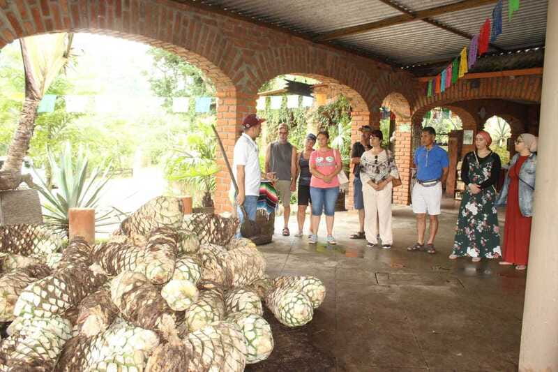 Puerto Vallarta: City Tour, Tequila and Coffee Factory Tour - The shopping stops are part of the city tour