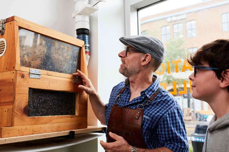 Quebec City: Honey and Distillery Tour with Tasting - The observation hive makes the tour different