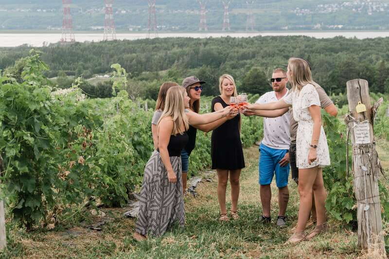 Quebec City: Island of Orleans Wine Tour - Domaine Sainte-Famille: a welcoming introduction to Quebec wine