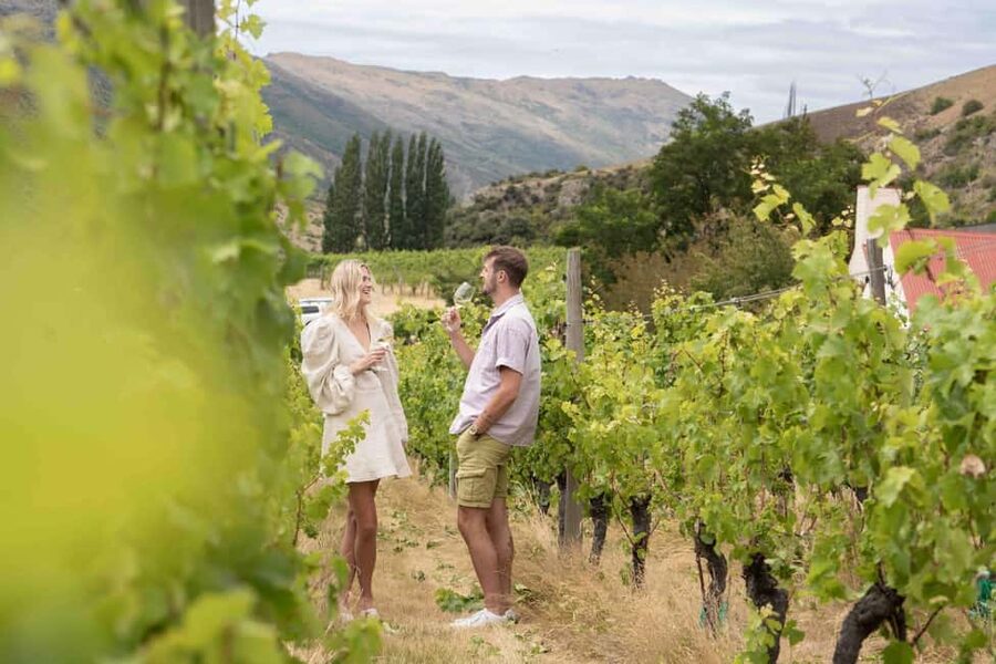 Queenstown: Wine & Food Tour, Scenic Tastings & Paired Lunch - The final winery and the cave experience