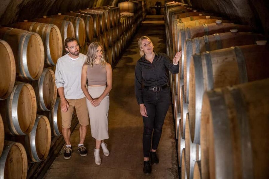 Queenstown: Wine & Food Tour, Scenic Tastings & Paired Lunch - Who should book this tour