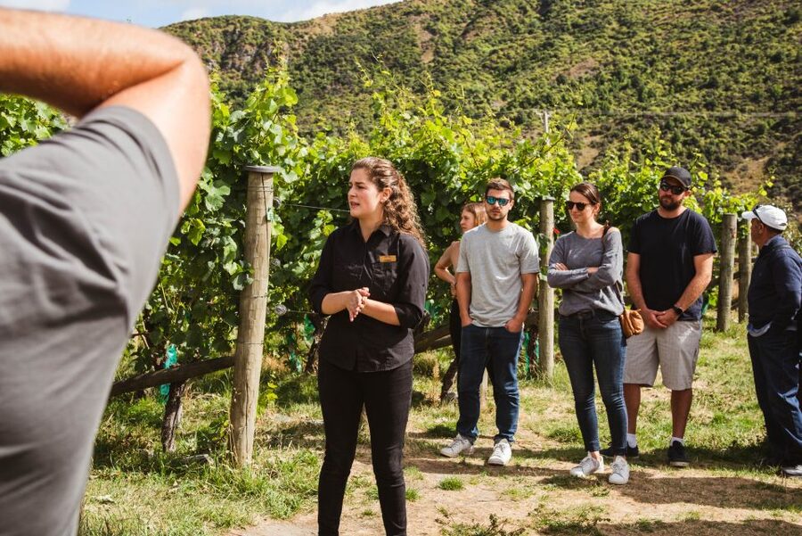 Queenstown: Wine Tasting Tour - Who should book this Queenstown wine tour?