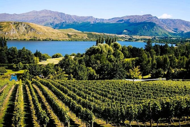 Queenstown Wine Tour - What the $61.44 price really covers