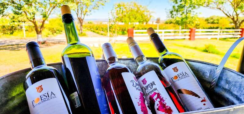 Querétaro: Haciendas, Vineyards, and Magical Towns Day Trip - What to bring and how to prepare