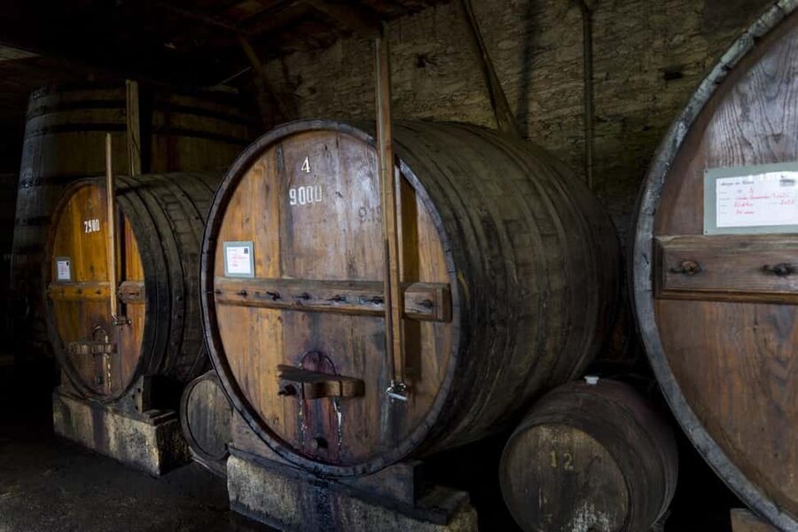 Régua: Wine tasting at a Quinta, traditional lunch, cruise, and train ride - A Full Douro Day That Begins With Wine