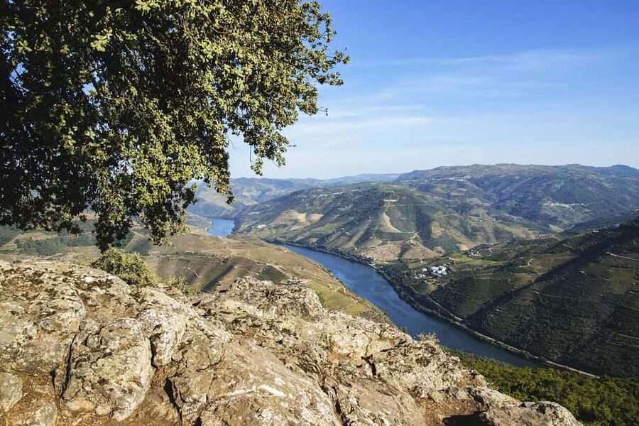 Régua: Wine tasting at a Quinta, traditional lunch, cruise, and train ride - Pinhão Gives You a Short Break Before the Train