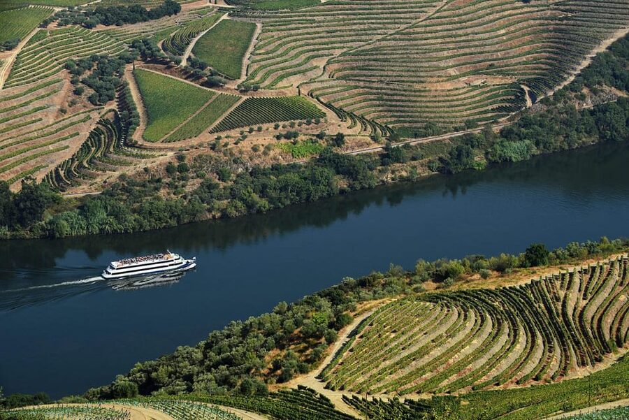 Régua: Wine tasting at a Quinta, traditional lunch, cruise, and train ride - Is This Good Value?
