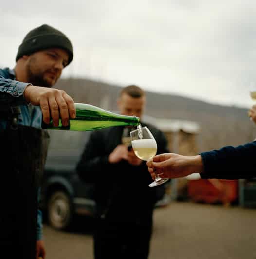 Reil, Mosel: Guided organic wine tasting and cellar tour - Starting at Kringstraße 36 in Reil
