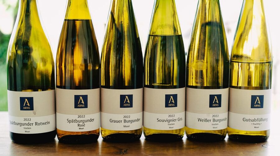 Reil, Mosel: Guided organic wine tasting and cellar tour - One hour in the modern cellar