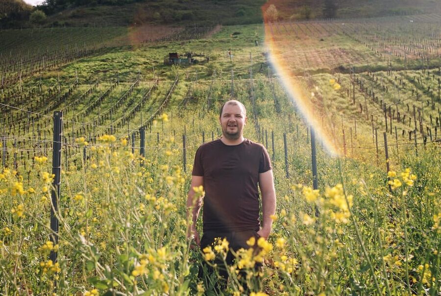 Reil, Mosel: Guided organic wine tasting and cellar tour - White, red, and traditionally made sparkling wine