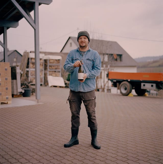 Reil, Mosel: Guided organic wine tasting and cellar tour - Meeting Alexander and the Arns family