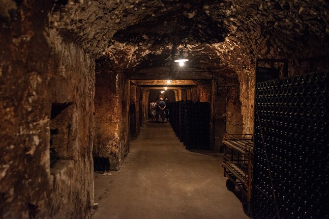 Reims afternoon tour Champagne and family growers - The first winery: three glasses and a local view