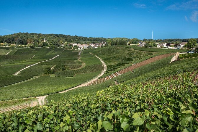 Reims afternoon tour Champagne and family growers - Is $151.16 a fair price?