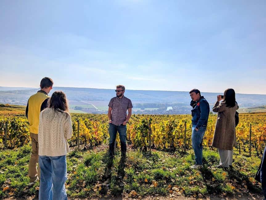 Reims: Moët & Chandon and Family-Run Winery Day Tour & Lunch - Why this tour works better than a single-house visit